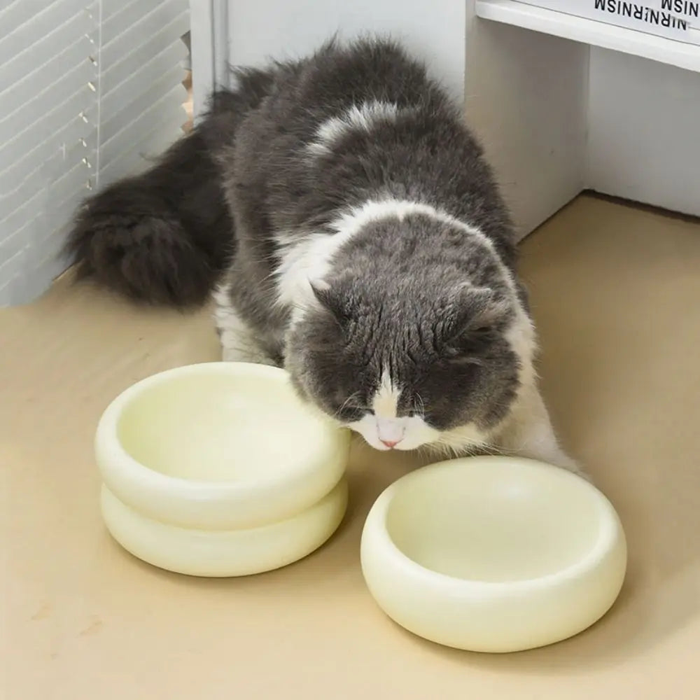 Ciotola in ceramica di lusso per animali domestici per un'esperienza di alimentazione elegante