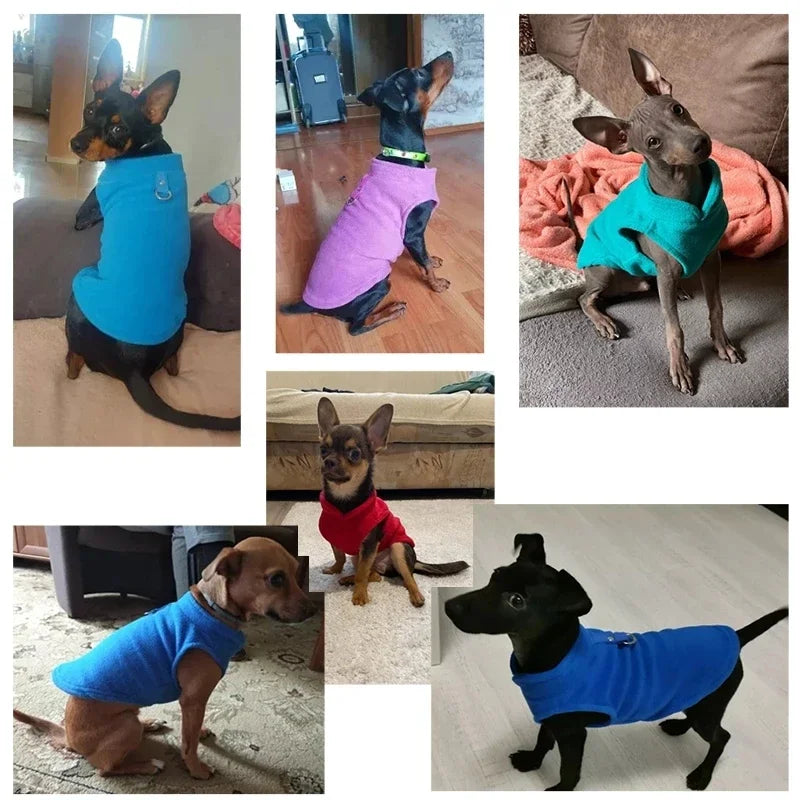 Cappotto caldo di lusso per cani piccoli - Comfort e protezione in uno