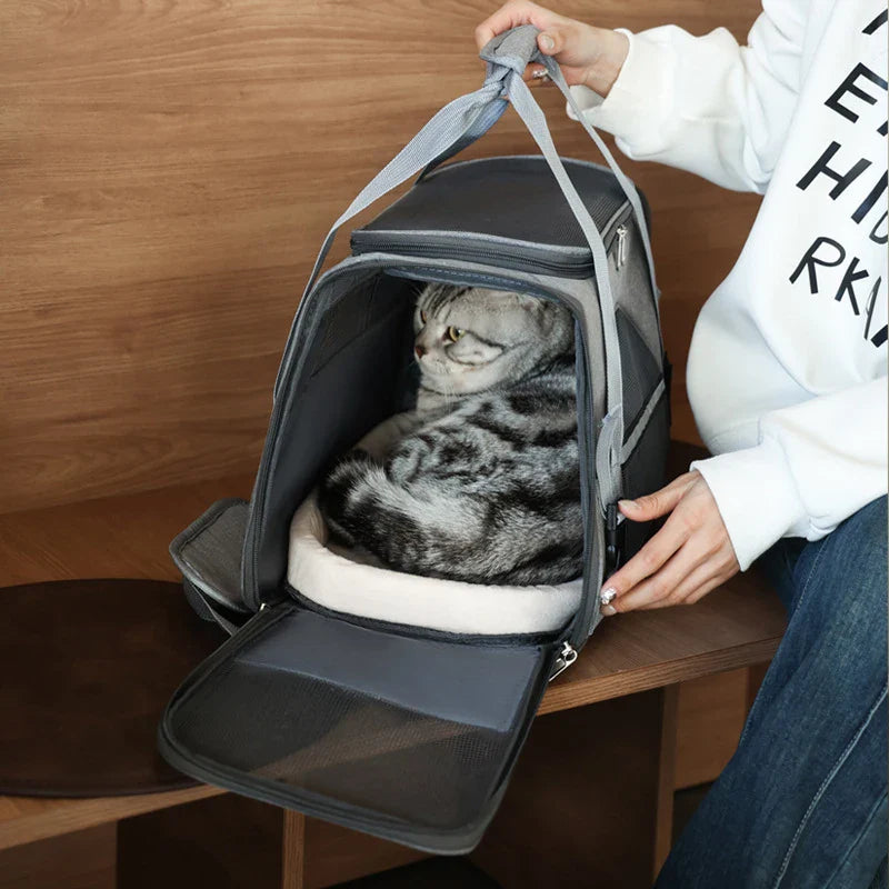 Zaino portatile compatto e elegante per il trasporto facile degli animali domestici