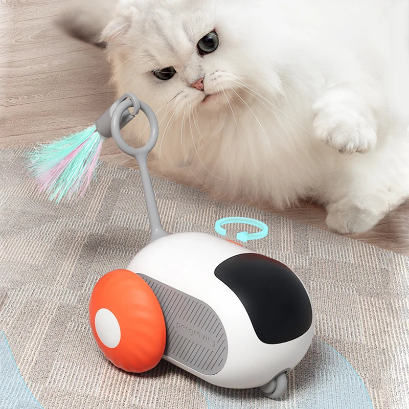 Giocattolo Interattivo per Animali Lively con Funzione Elettrica per Gioco Infinito