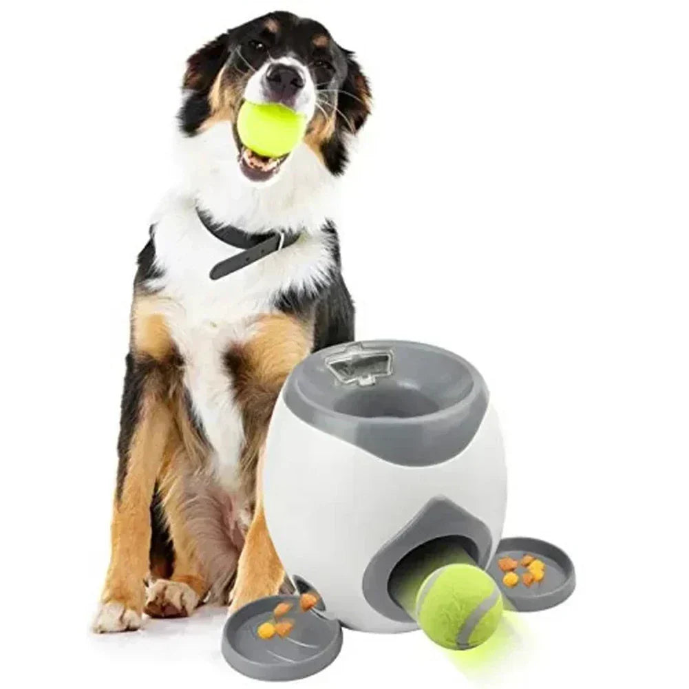 Compagno automatico - stimolazione fisica e mentale per un divertimento senza fine