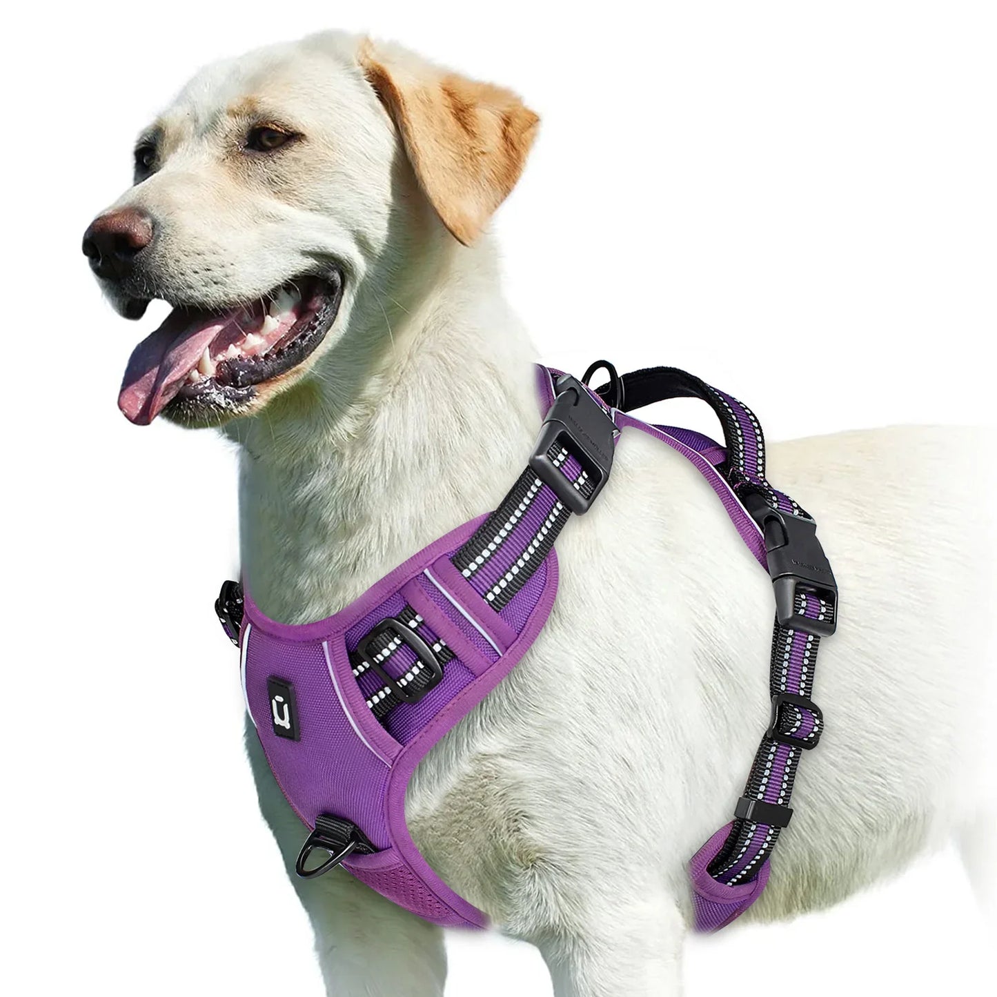 Pettorina regolabile per cani per il massimo comfort e sicurezza