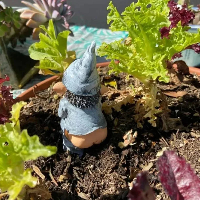 Niobe - Incantevole Figurina di Gnomo in Legno per il Tuo Giardino e Prati