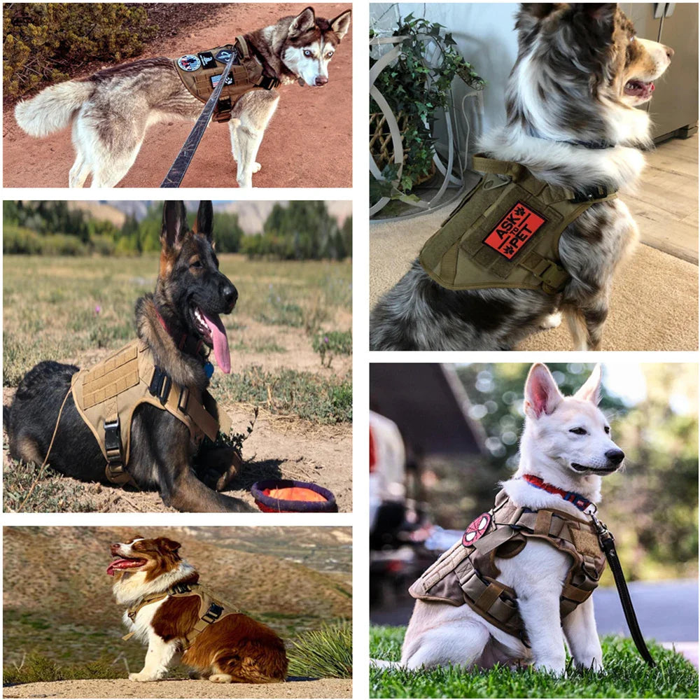 Pettorina tattica comoda per cani con guinzaglio per passeggiate sicure e alla moda