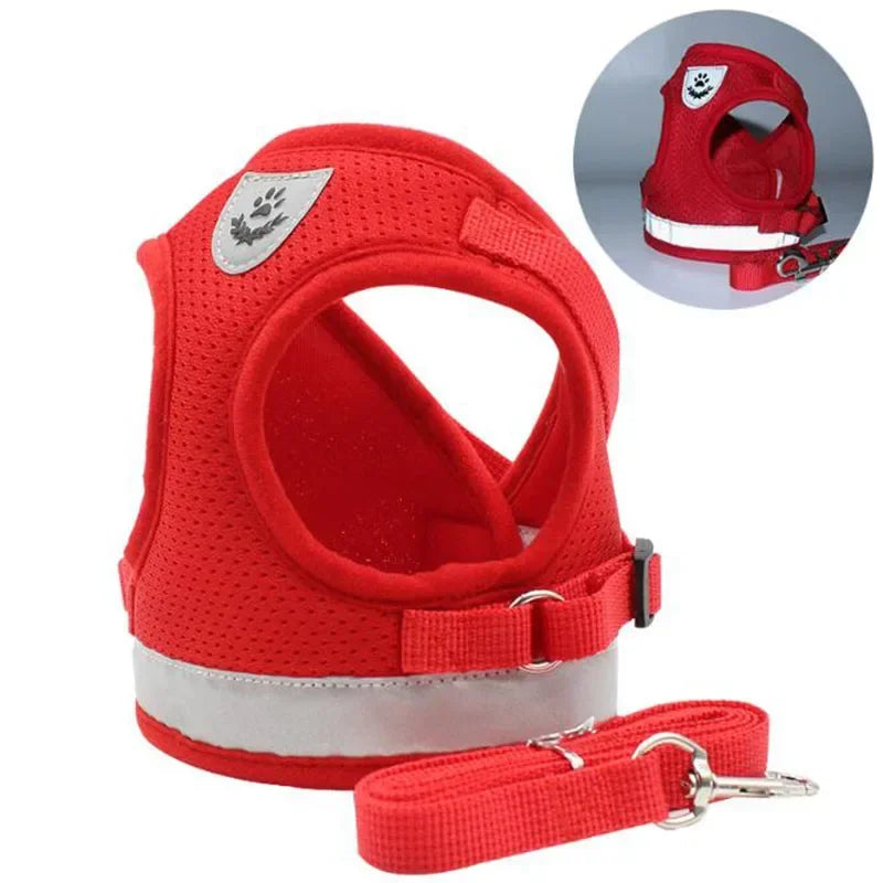 Pettorina a rete e guinzaglio per il massimo comfort durante la passeggiata