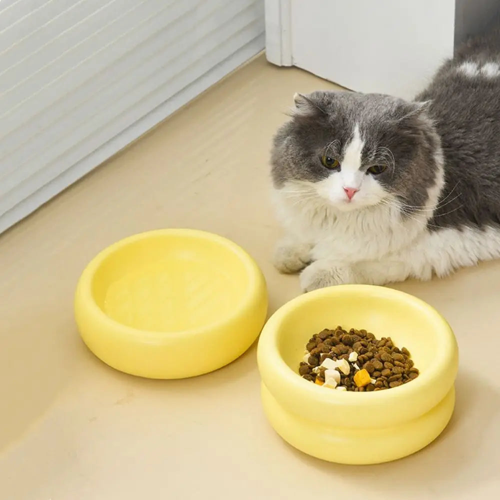 Ciotola in ceramica di lusso per animali domestici per un'esperienza di alimentazione elegante