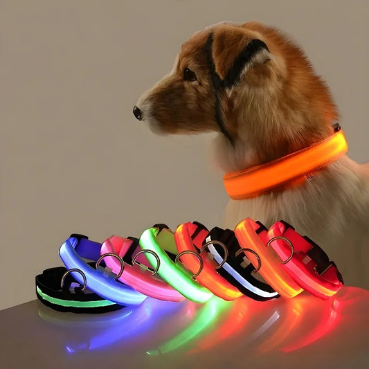 Collare LED di Lusso per Cani per la Massima Sicurezza Notturna