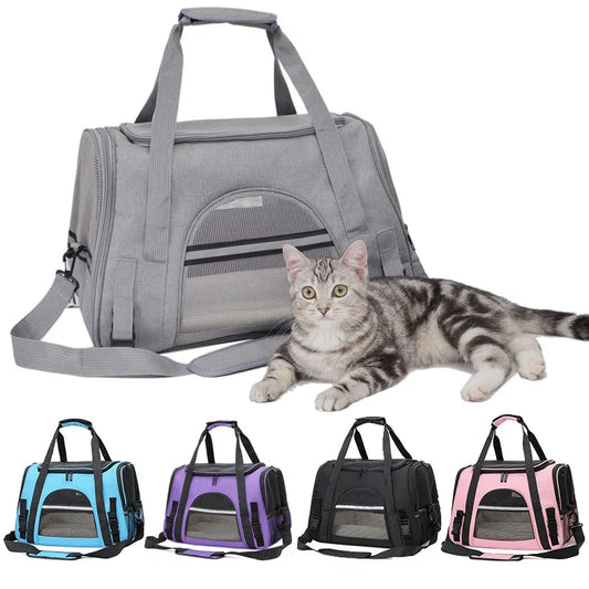 Zaino portatile compatto e elegante per il trasporto facile degli animali domestici