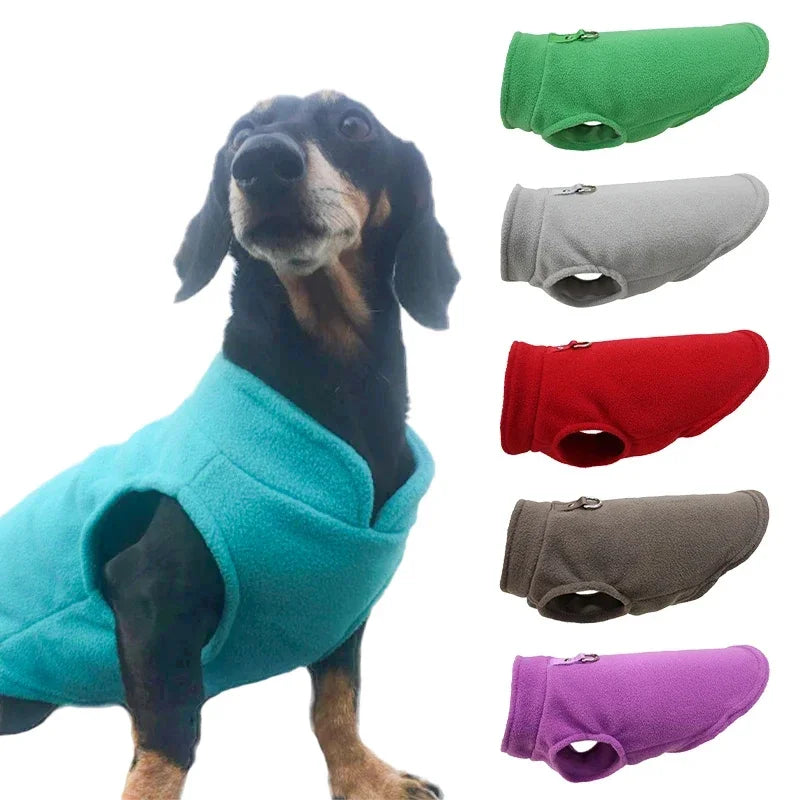 Cappotto caldo di lusso per cani piccoli - Comfort e protezione in uno