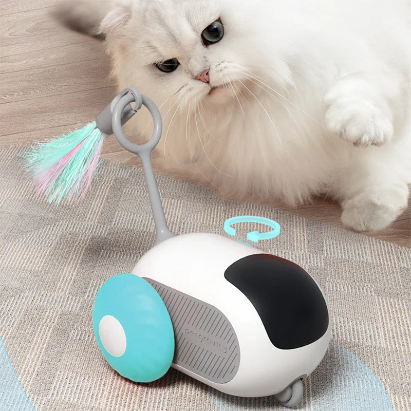 Giocattolo Interattivo per Animali Lively con Funzione Elettrica per Gioco Infinito