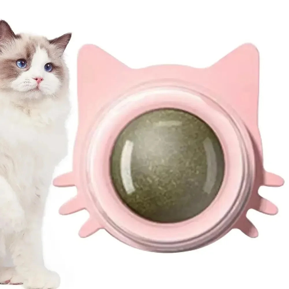 Pallina da gioco per gatti per uno stomaco sano e più allegria
