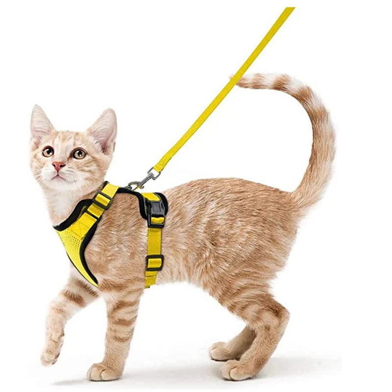 Pettorina comoda e sicura per camminare per gatti