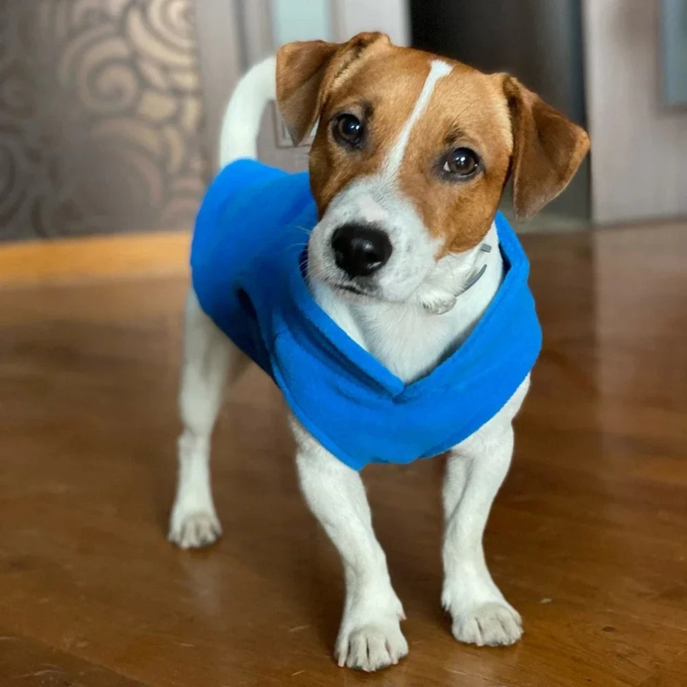 Cappotto caldo di lusso per cani piccoli - Comfort e protezione in uno