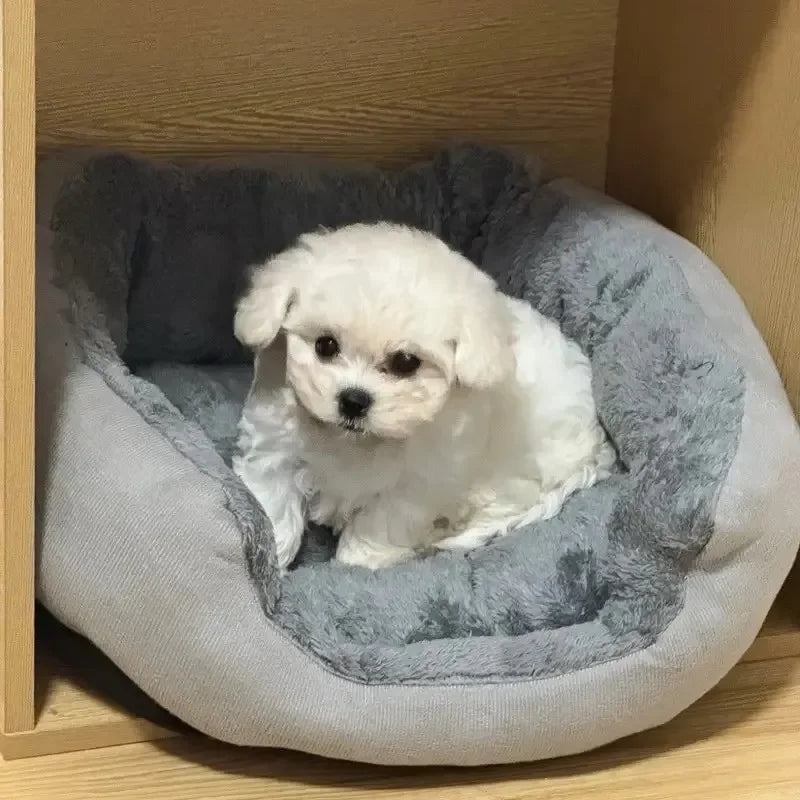 Comodo caldo letto per cani e gatti