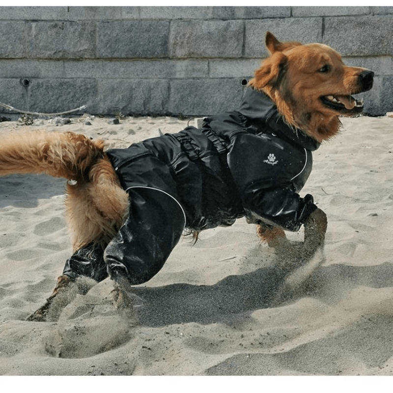Protezione definitiva per emozionanti avventure con gli animali domestici