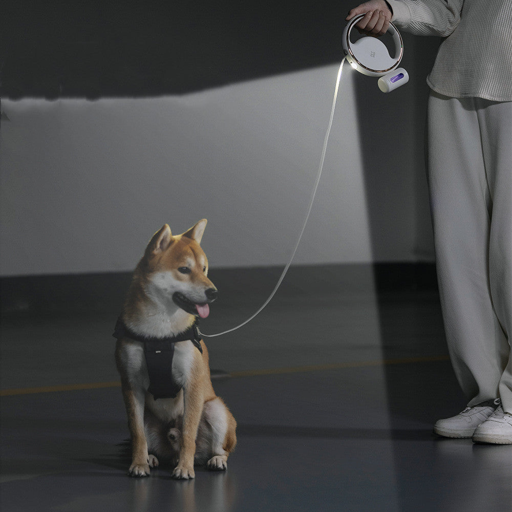 Guinzaglio riflettente per cani ricaricabile USB per comodità e sicurezza