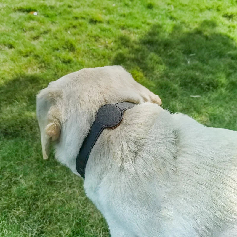 Collare per cane elegante con supporto Airtag integrato per il tracciamento definitivo