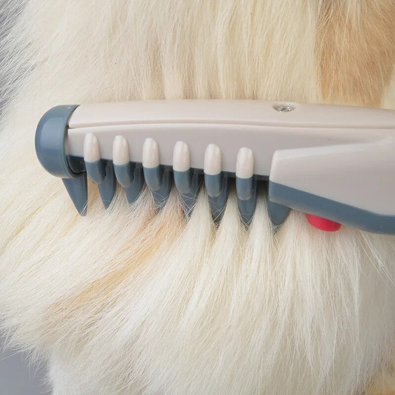 Tagliacapelli elettrico elegante per animali domestici per un taglio senza pensieri e senza sforzo