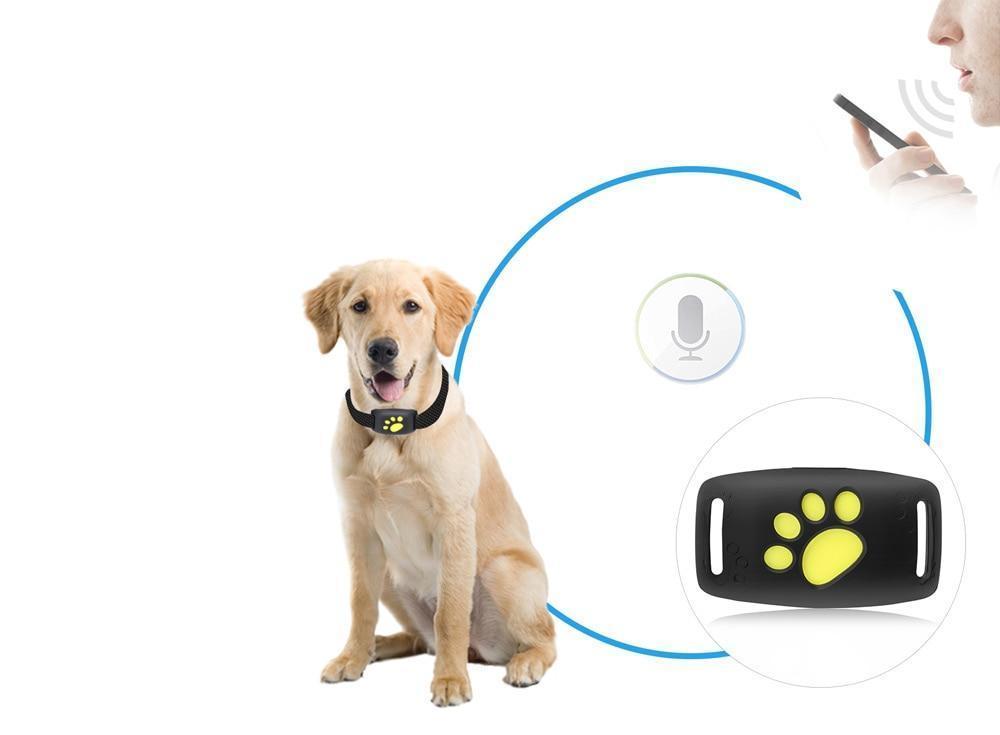 Sistema di tracciamento GPS per gatti con tracciamento in tempo reale e aggiornamenti in tempo reale