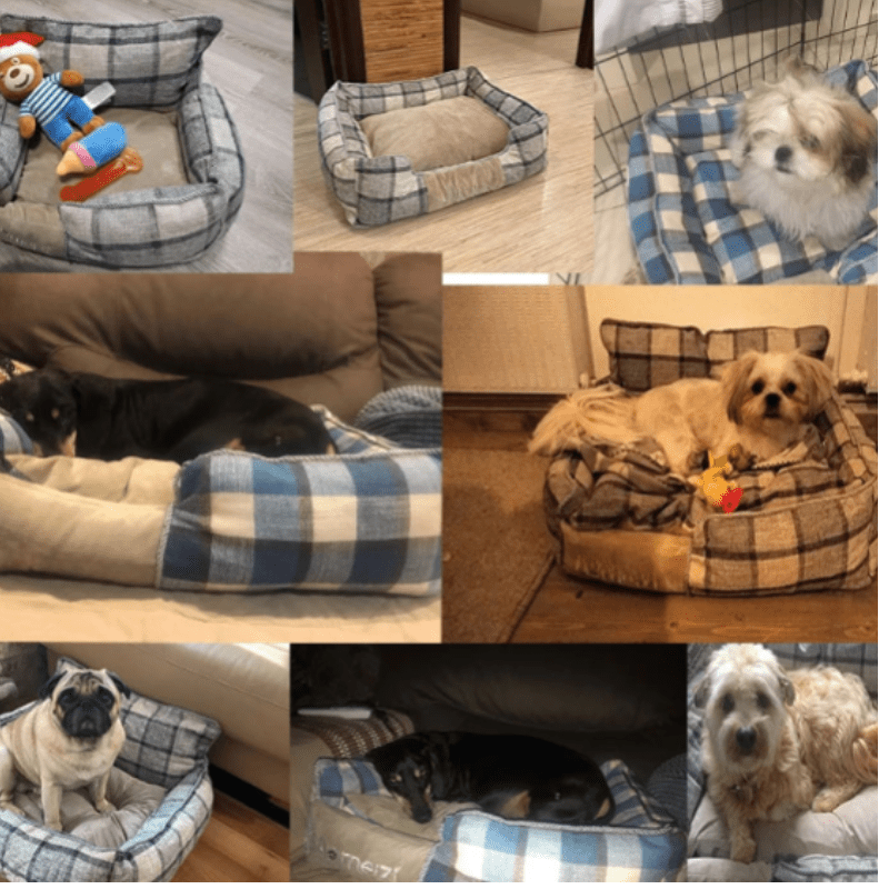 Letto portatile estremamente confortevole per cani e gatti per ogni stagione