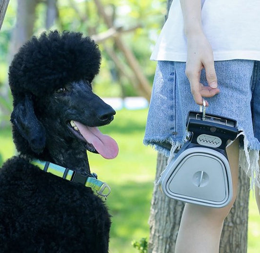 Soluzione pieghevole pratica e igienica per la cacca del cane