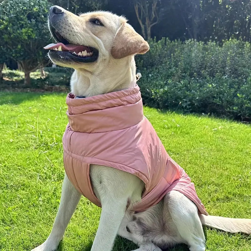 Protezione ottimale per i piedi degli animali domestici per il massimo comfort e sicurezza