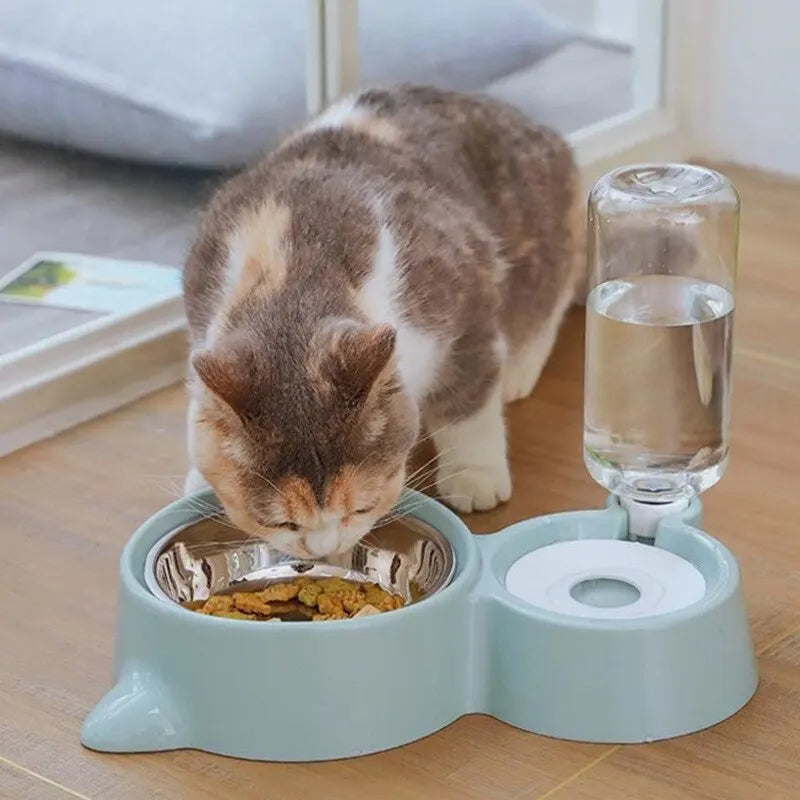 Ciotola per cibo 2-in-1 per gatto e cane - Ciotola doppia per alimentazione per comfort e comodità