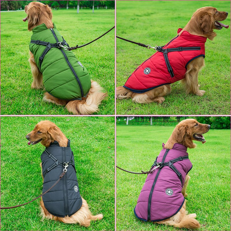 Cappotto impermeabile di lusso per cani con isolamento accogliente per un calore extra
