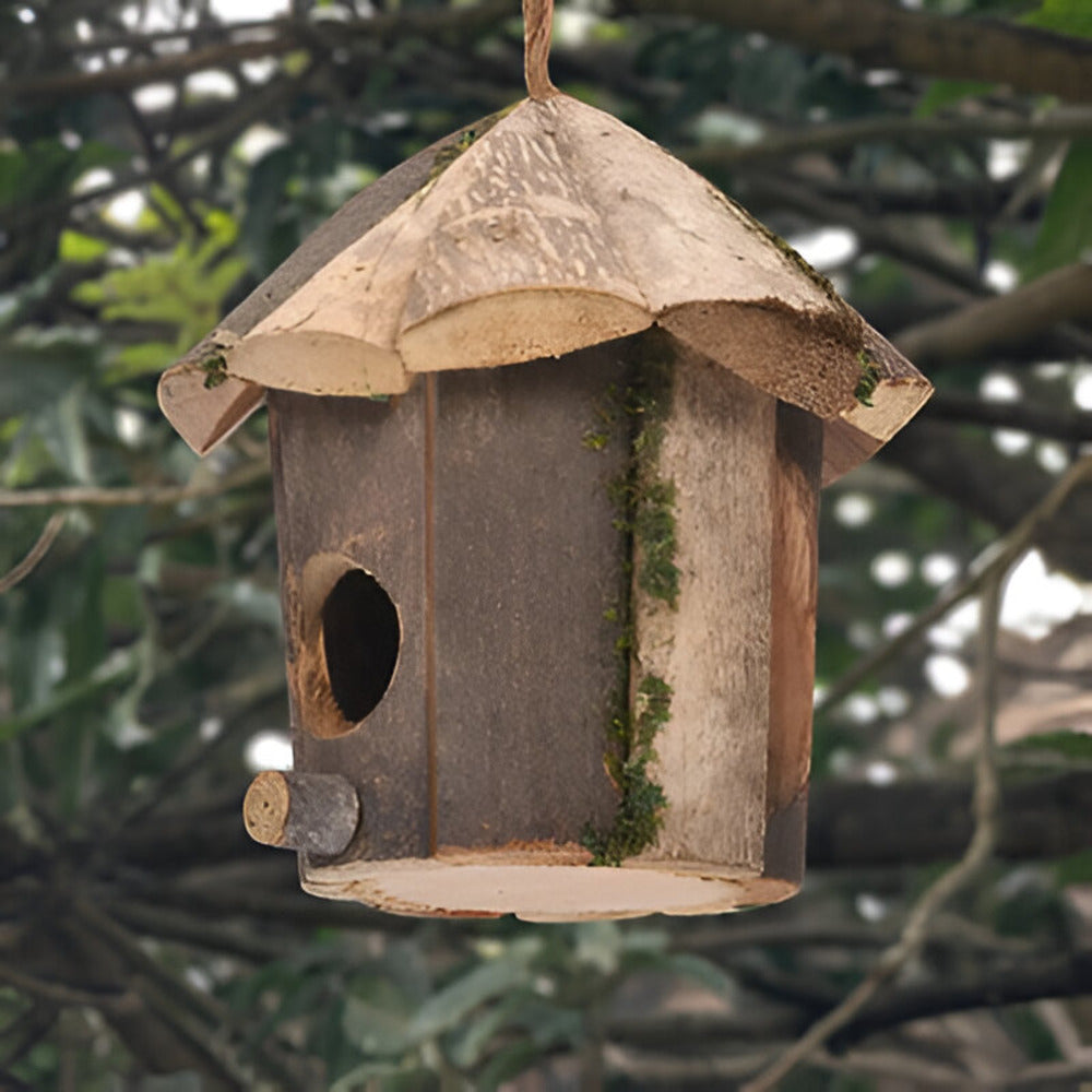 Domus - Affascinante Casetta Rustica in Legno con Design Colibrì