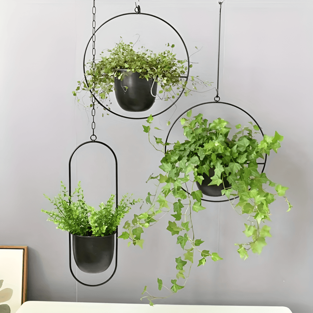 Caelessa - Vaso da parete elegante e raffinato per un interno moderno