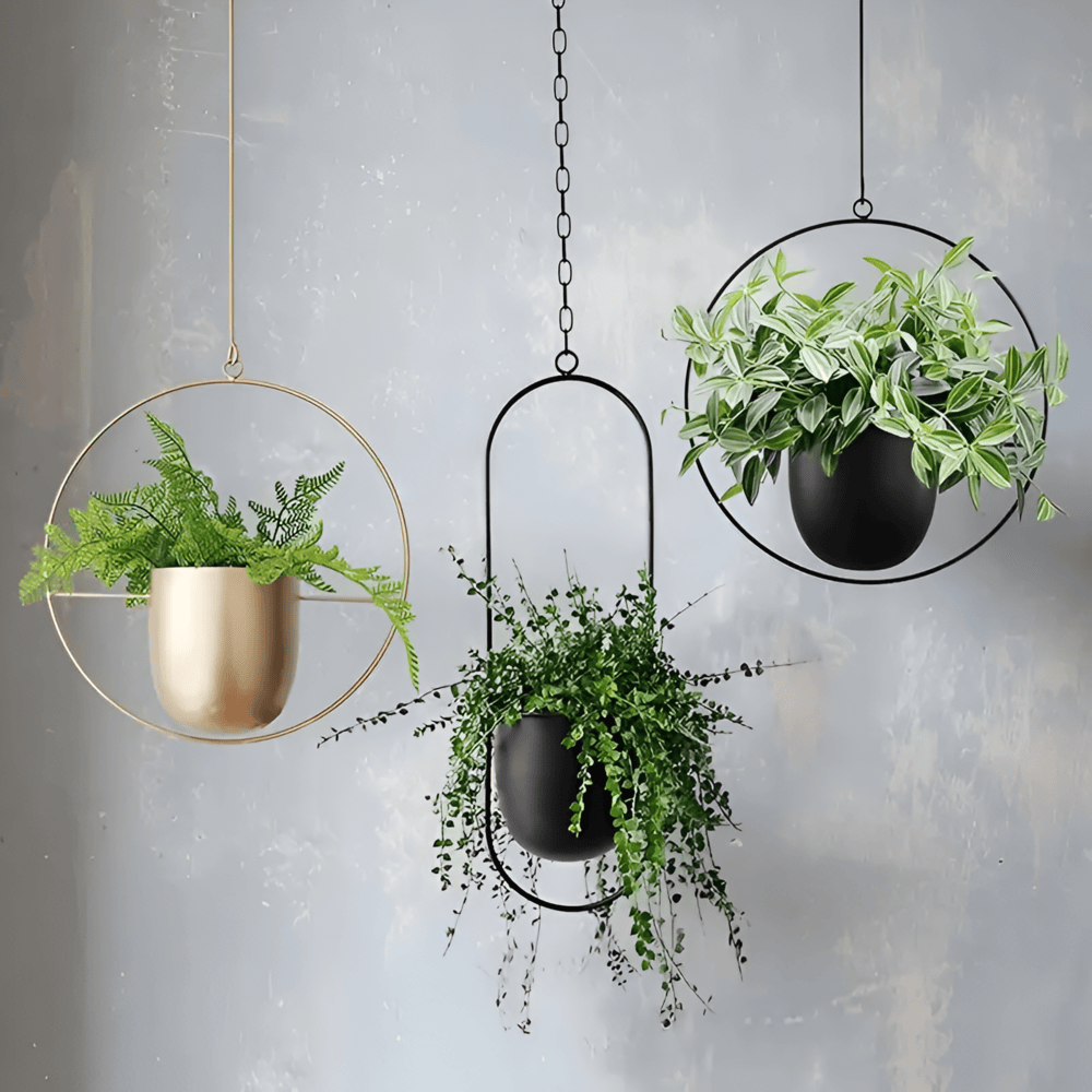 Caelessa - Vaso da parete elegante e raffinato per un interno moderno