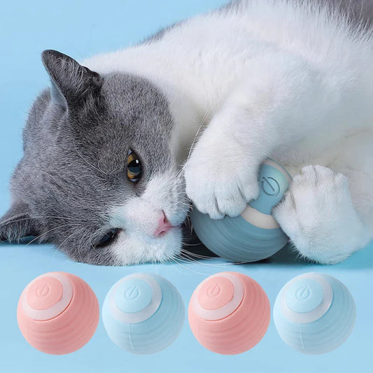 Gioco Interattivo Innovativo per Gatti con Funzione Ricaricabile per Divertimento Infinito del Gatto