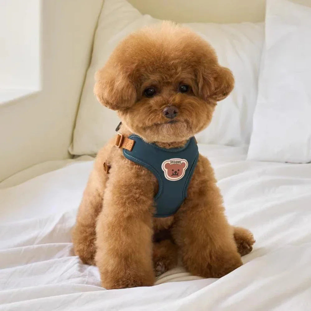 Pettorina e Cinturino Carini e Regolabili per Comfort e Sicurezza