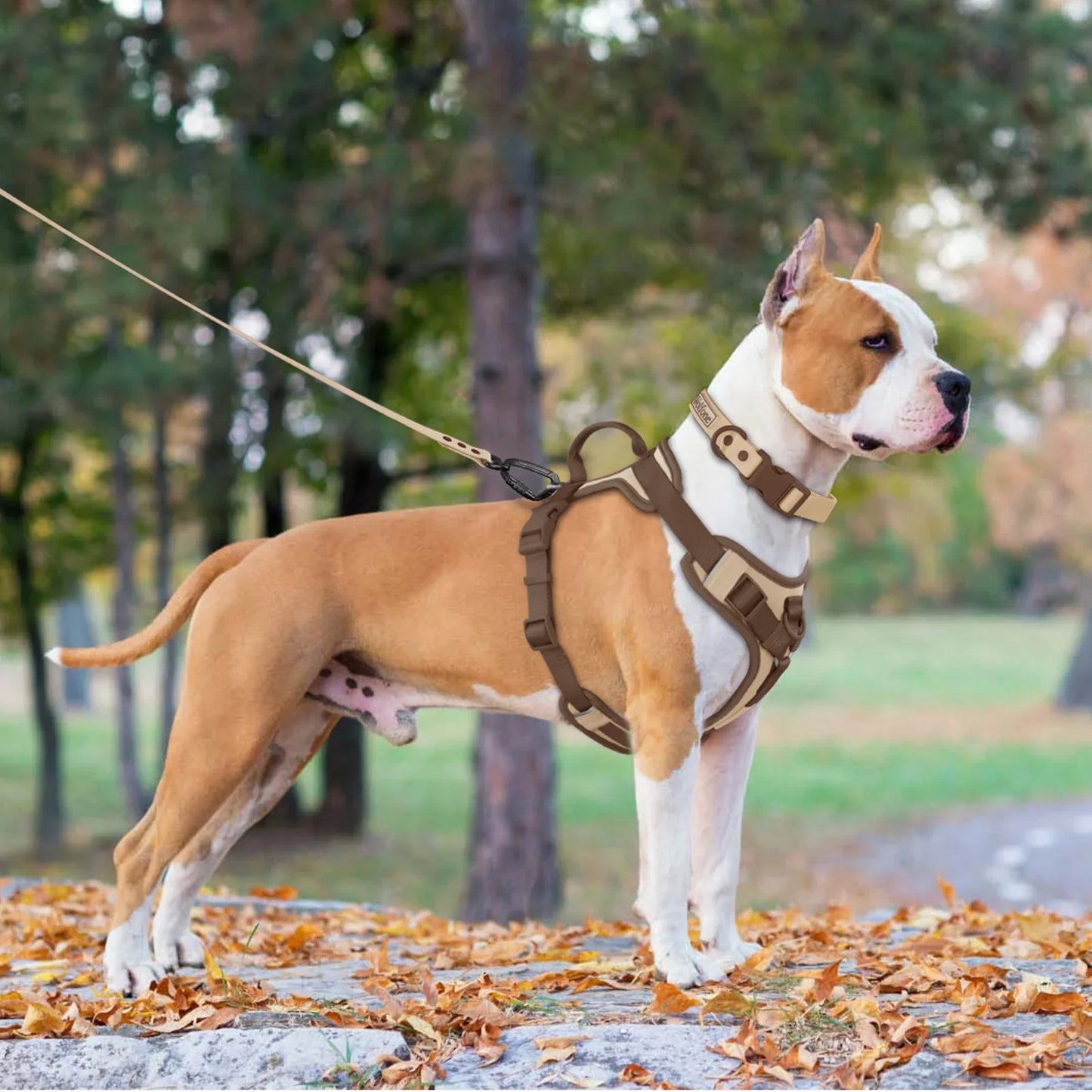 Pettorina Regolabile di Lusso per Cani di Razze Piccole e Grandi