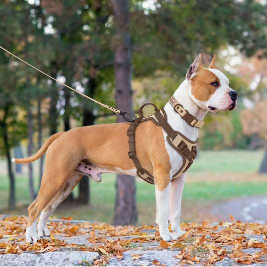 Pettorina Regolabile di Lusso per Cani di Razze Piccole e Grandi
