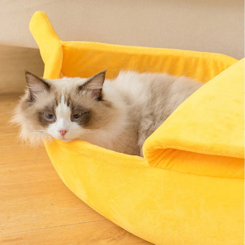 Cuccia Morbida e Accogliente per Gatti con un Tocco Giocoso