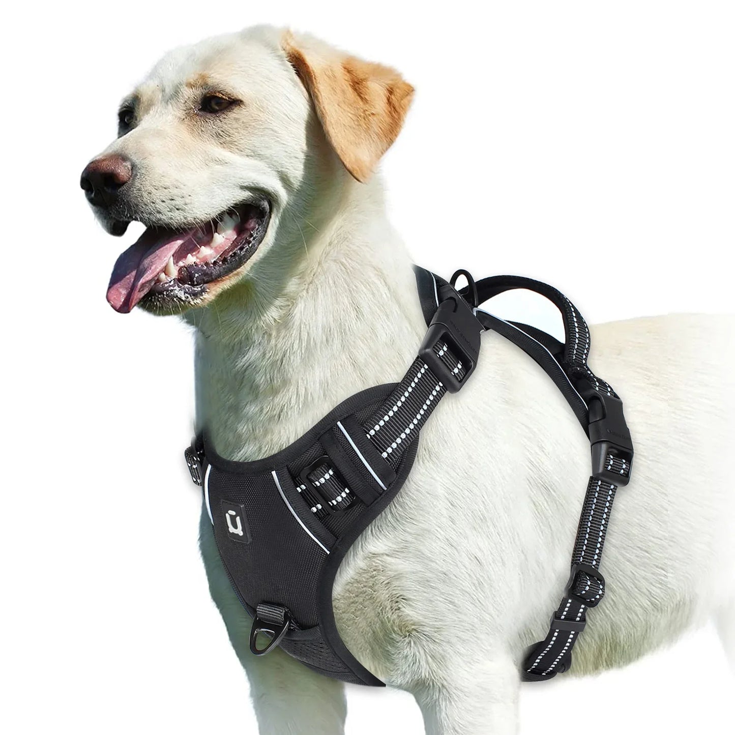 Pettorina regolabile per cani per il massimo comfort e sicurezza