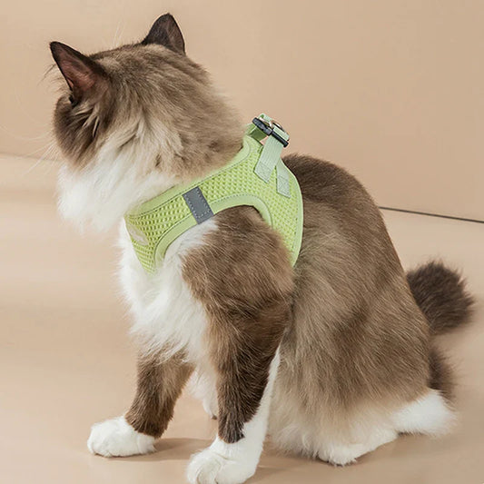 Pettorina e guinzaglio comodi e riflettenti per animali domestici per passeggiate sicure e alla moda