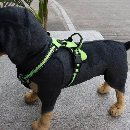 Pettorina regolabile in nylon per cani per comfort e sicurezza