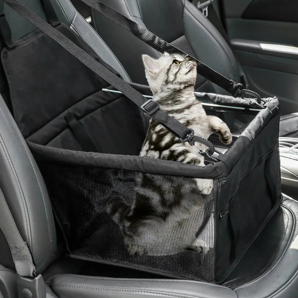 Borsa da viaggio comoda e seggiolino per auto per animali personalizzati