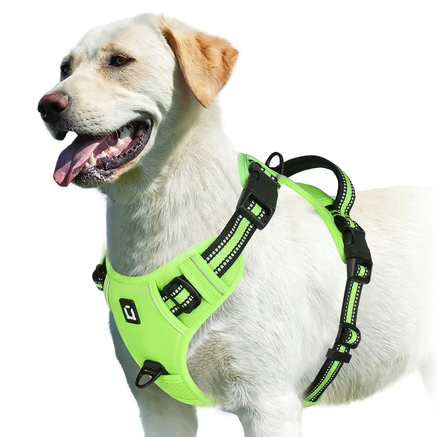 Pettorina regolabile per cani per il massimo comfort e sicurezza