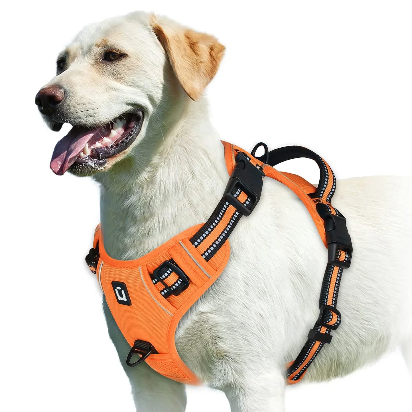 Pettorina regolabile per cani per il massimo comfort e sicurezza