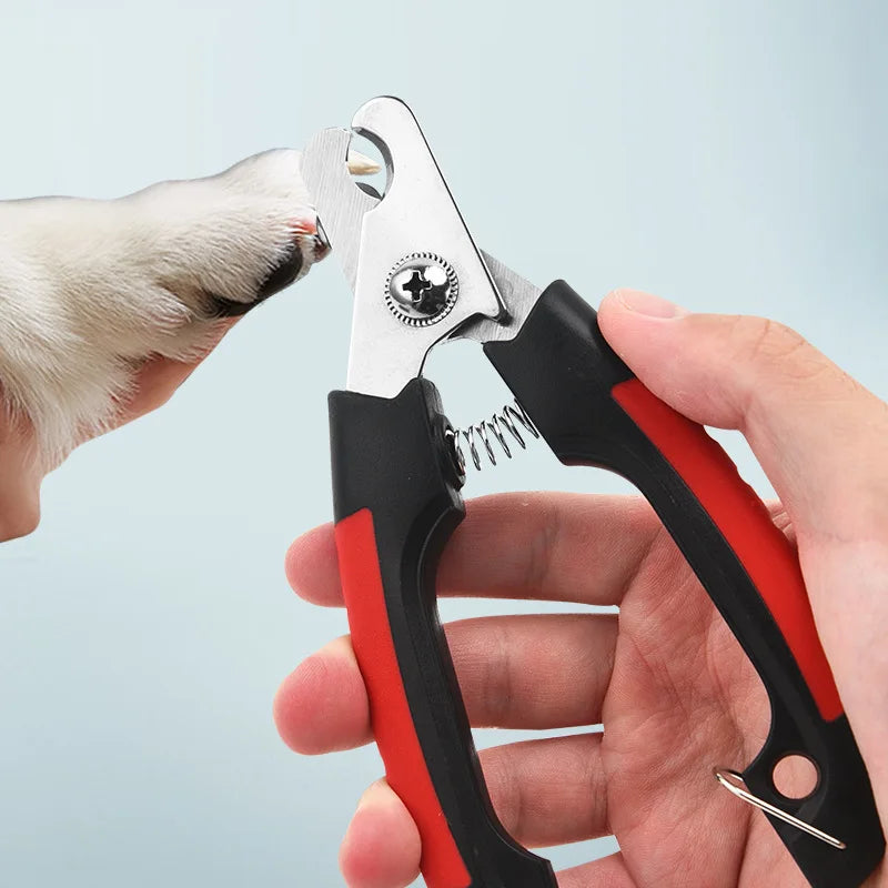 Tagliacapelli professionale per cani e gatti per un aspetto perfettamente liscio