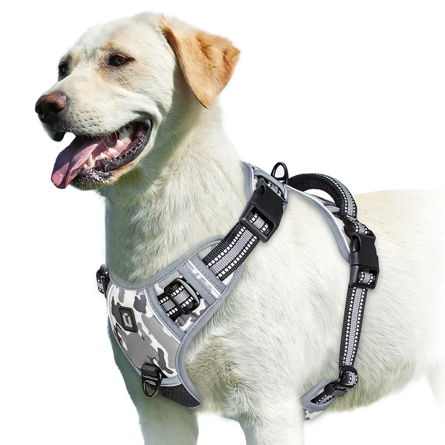 Pettorina regolabile per cani per il massimo comfort e sicurezza
