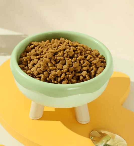 Elegante ciotola rotonda per cibo per animali domestici per un'alimentazione elegante e confortevole