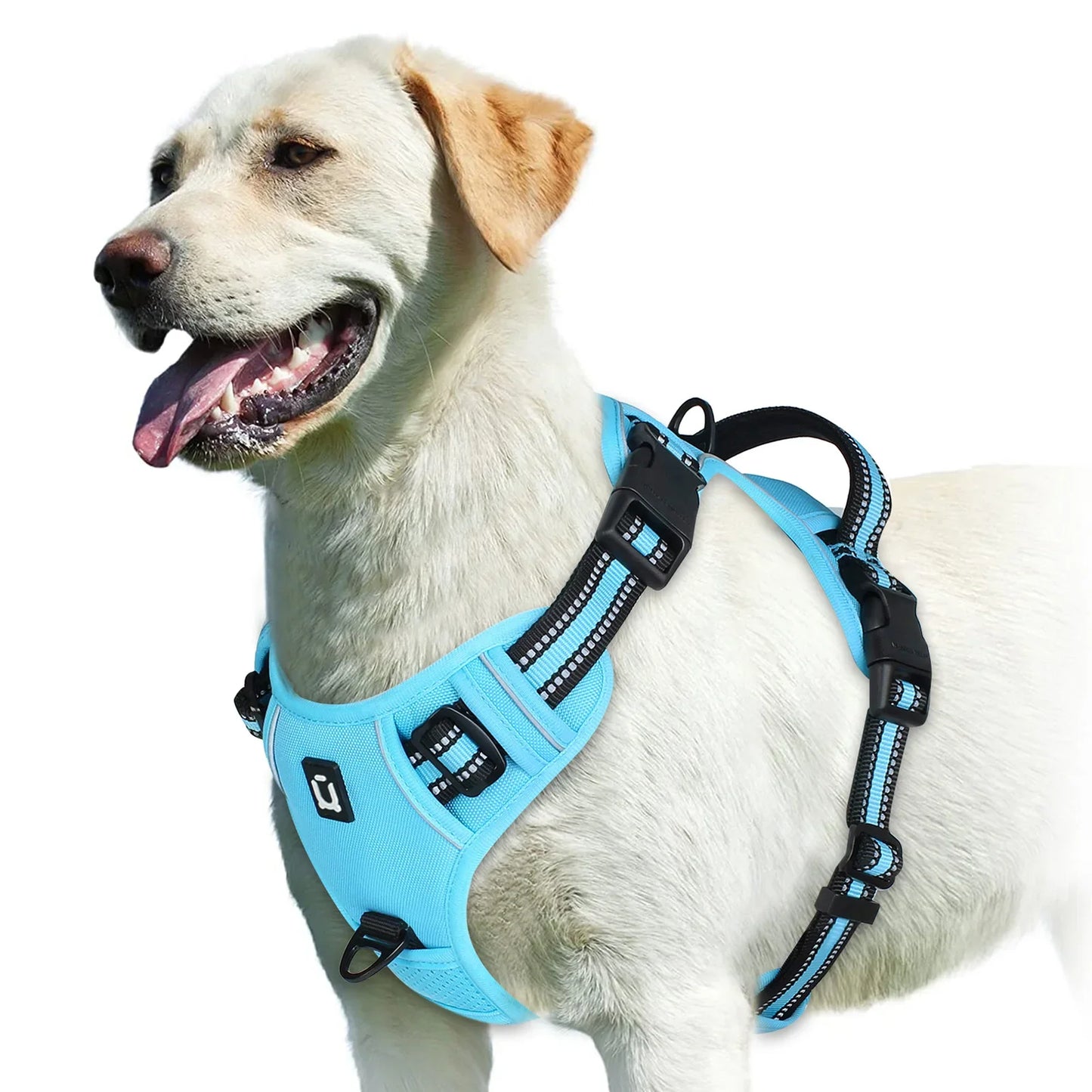 Pettorina regolabile per cani per il massimo comfort e sicurezza