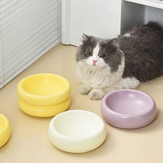 Ciotola in ceramica di lusso per animali domestici per un'esperienza di alimentazione elegante