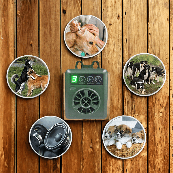 Sistema di Sicurezza Anti-Chiamata Cliente Sicuro e Affidabile