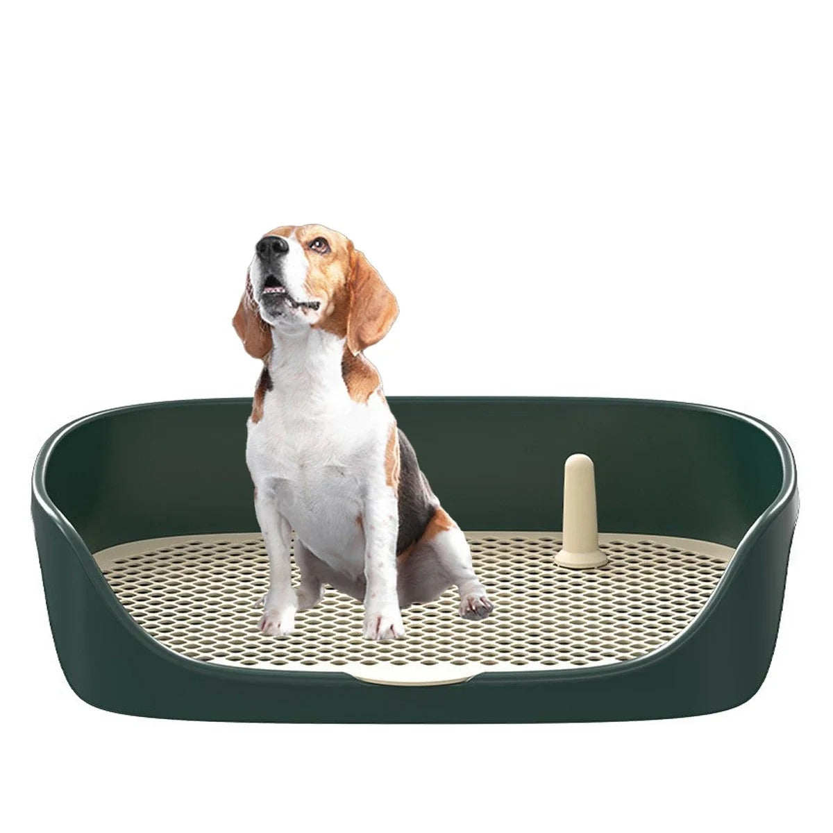 Addestra il tuo cane al vasino