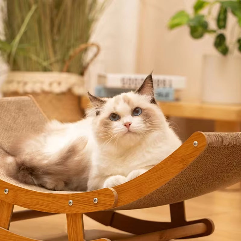Gatto artigliato